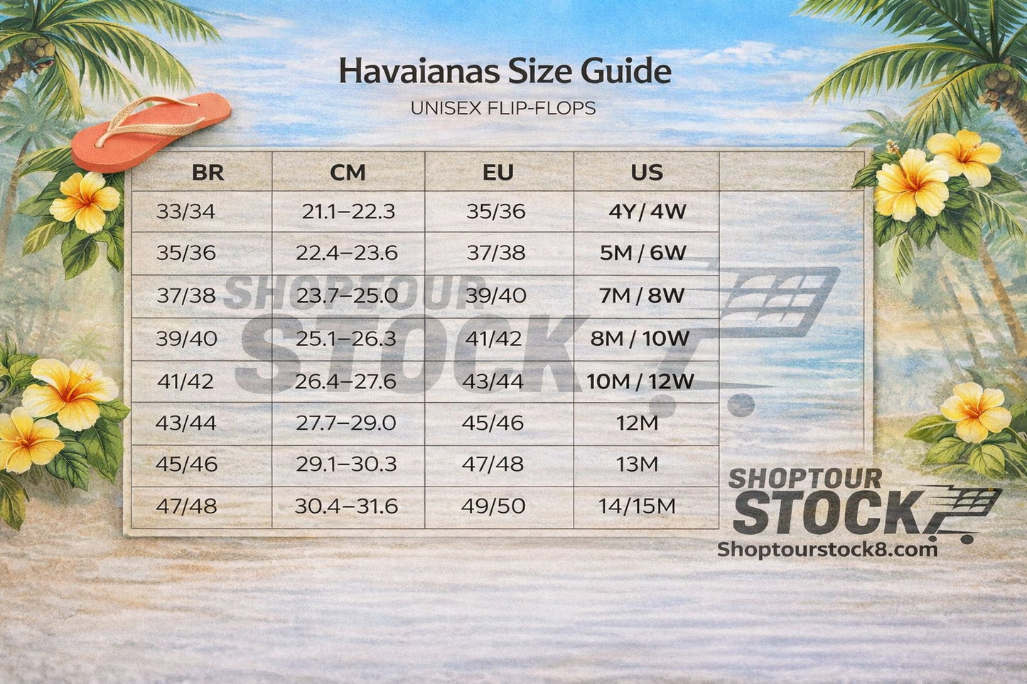 Havainas Flip Flop Brazil